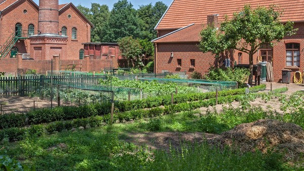 Blick in den Arbeitergarten