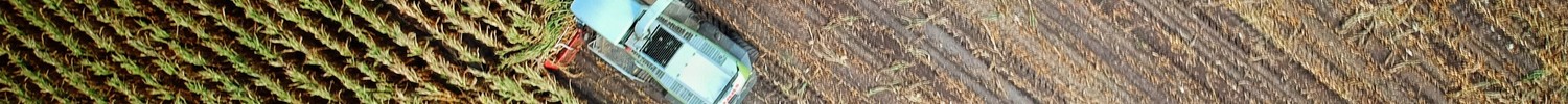 Ein Feld wird mit zwei Maschinen abgeerntet.