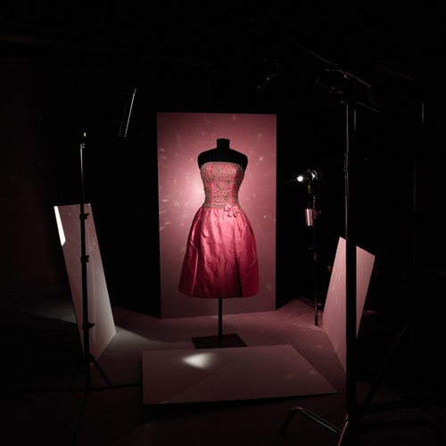 Rosa Kleod auf einer Büste