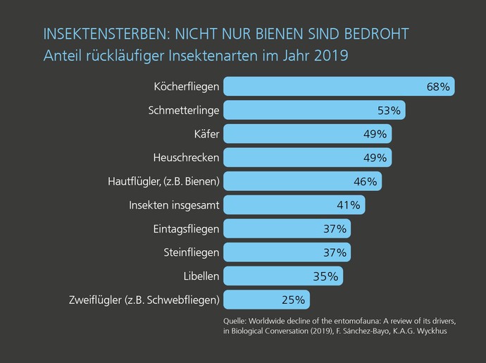 Grafik: Anteil rückläufiger Insektenarten im Jahr 2019. Der Rückgang der beträgt jeweils zwischen 68 und 25 %, insgesamt  41 %.