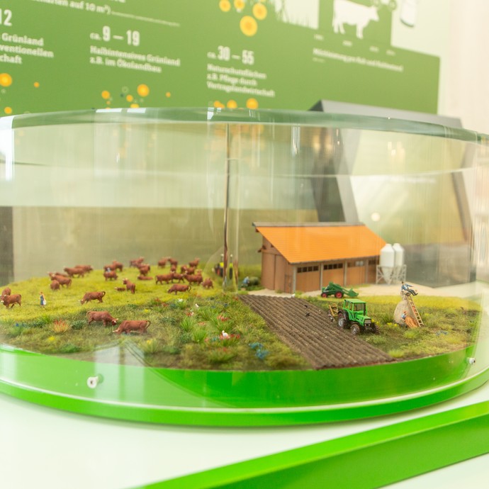 Blick in die Ausstellung: Miniaturbauernhof unter Glashaube (vergrößerte Bildansicht wird geöffnet)